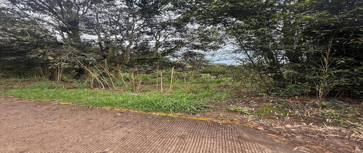 Foto de terreno habitacional en cerro colorado , cerro colorado, valle de bravo, méxico, 30392486 foto 04 Foto de terreno habitacional en venta en cerro colorado , cerro colorado, valle de bravo, méxico, 30392486 No. 04