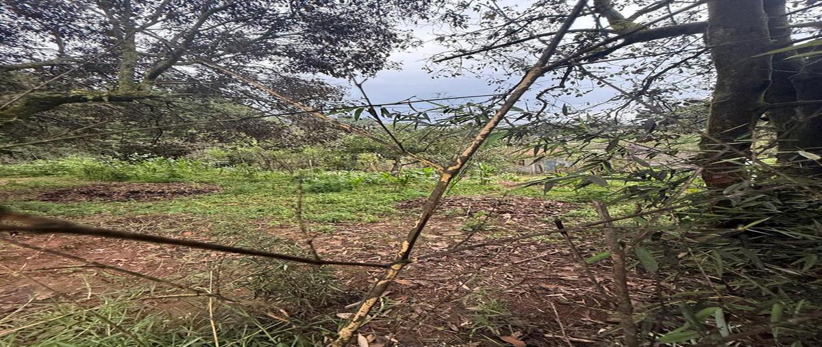 Foto de terreno habitacional en cerro colorado , cerro colorado, valle de bravo, méxico, 30392486 foto 05 Foto de terreno habitacional en venta en cerro colorado , cerro colorado, valle de bravo, méxico, 30392486 No. 05