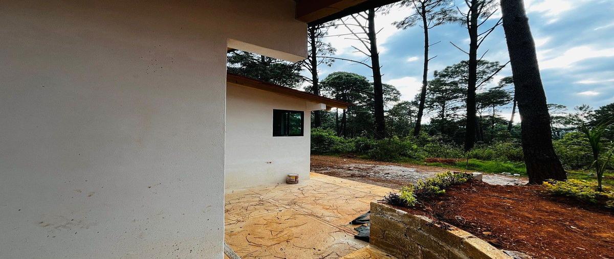 Foto de casa en venta en cerro colorado , cerro colorado, valle de bravo, méxico, 30693136 No. 03