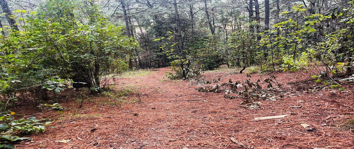 Foto de terreno habitacional en cerro colorado , cerro colorado, valle de bravo, méxico, 30693137 foto 04 Foto de terreno habitacional en venta en cerro colorado , cerro colorado, valle de bravo, méxico, 30693137 No. 04