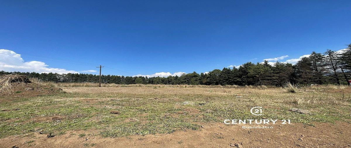 Foto de terreno habitacional en venta en cerro colorado , cerro colorado, valle de bravo, méxico, 0 No. 03