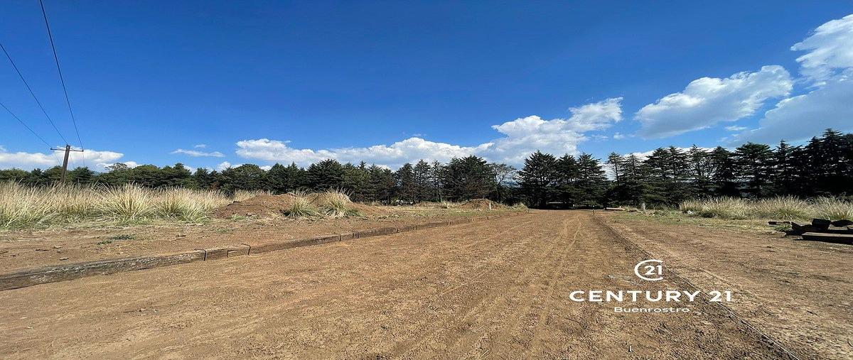 Foto de terreno habitacional en venta en cerro colorado , cerro colorado, valle de bravo, méxico, 31062648 No. 04