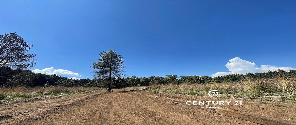 Foto de terreno habitacional en venta en cerro colorado , cerro colorado, valle de bravo, méxico, 31062648 No. 05