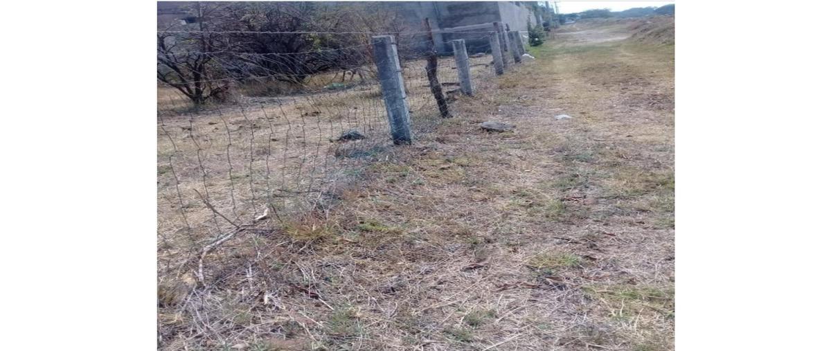 Foto de terreno habitacional en venta en  , cerro colorado, cuauhtémoc, colima, 0 No. 03