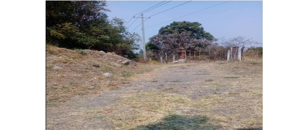 Foto de terreno habitacional en venta en  , cerro colorado, cuauhtémoc, colima, 0 No. 04