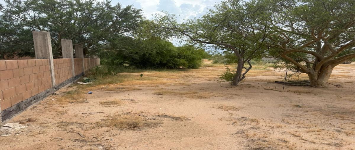 Foto de terreno habitacional en venta en  , cerro colorado, hermosillo, sonora, 0 No. 05
