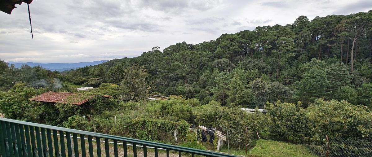 Foto de casa en renta en  , cerro colorado, valle de bravo, méxico, 0 No. 04