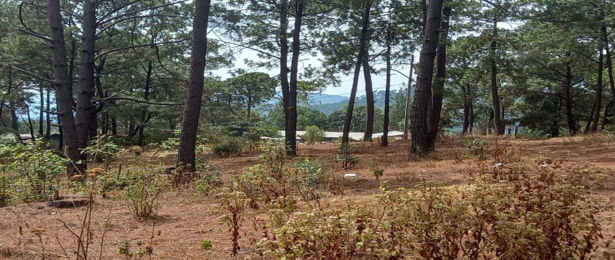 Foto de terreno habitacional en venta en  , cerro colorado, valle de bravo, méxico, 26945106 No. 03