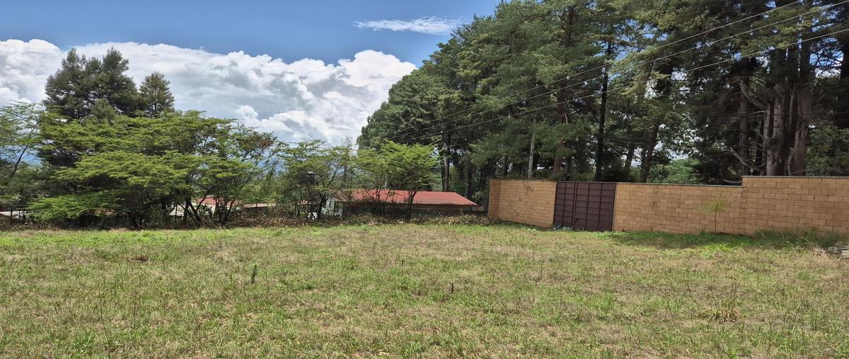 Foto de terreno habitacional en , cerro colorado, valle de bravo, méxico, 0 foto 04 Foto de terreno habitacional en venta en , cerro colorado, valle de bravo, méxico, 0 No. 04