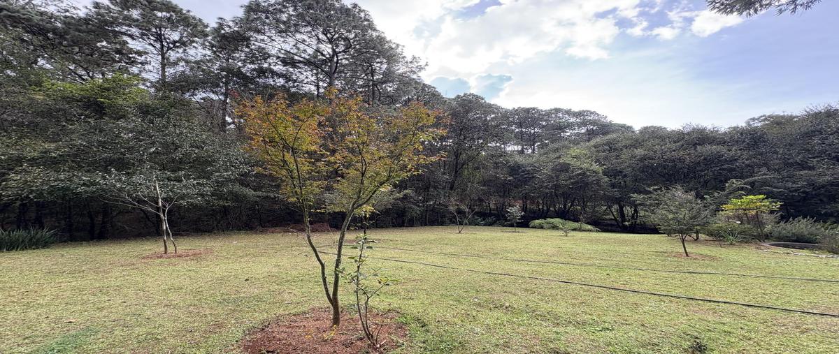 Foto de casa en renta en  , cerro colorado, valle de bravo, méxico, 30706237 No. 03