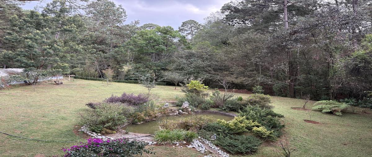 Foto de casa en renta en  , cerro colorado, valle de bravo, méxico, 30706237 No. 04