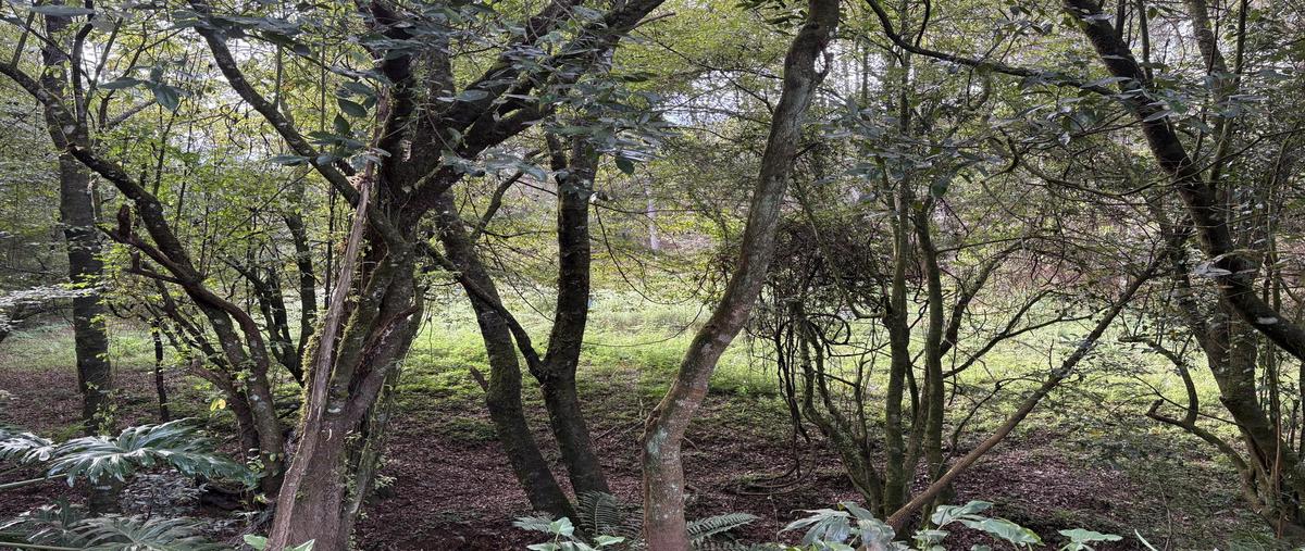 Foto de casa en venta en  , cerro colorado, valle de bravo, méxico, 0 No. 03