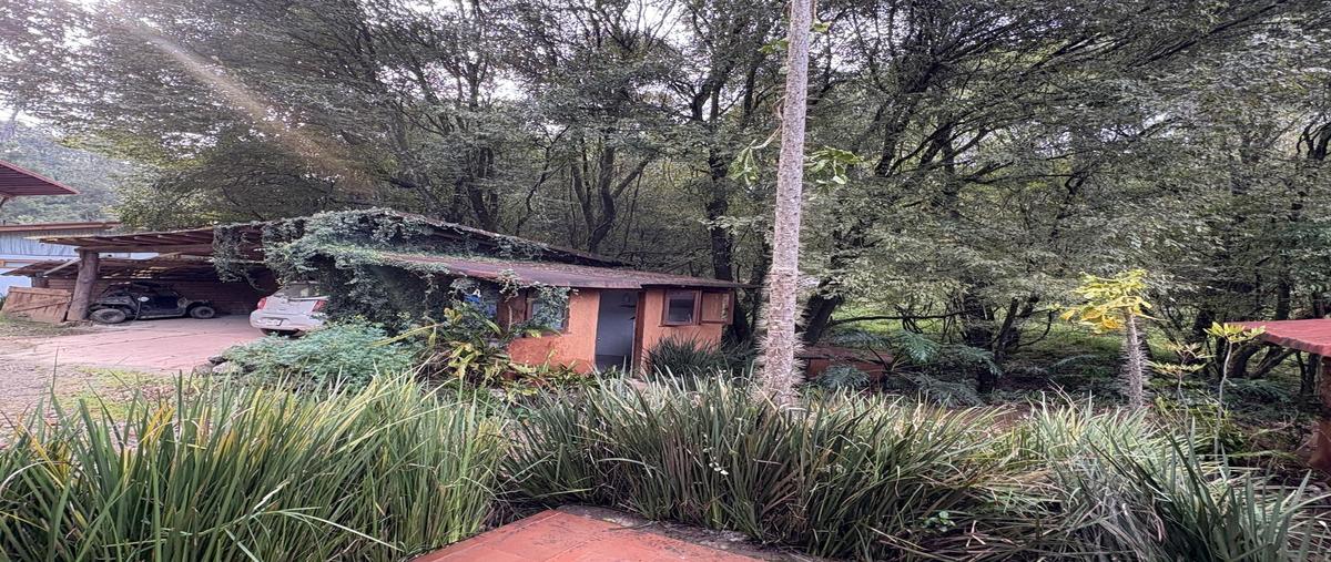 Foto de casa en , cerro colorado, valle de bravo, méxico, 30728281 foto 05 Foto de casa en renta en , cerro colorado, valle de bravo, méxico, 30728281 No. 05