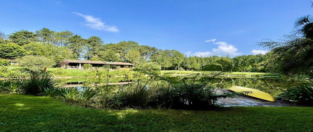 Foto de rancho en venta en  , cerro colorado, valle de bravo, méxico, 0 No. 03