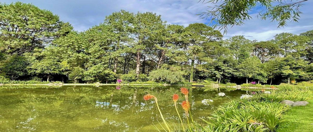 Foto de rancho en venta en  , cerro colorado, valle de bravo, méxico, 0 No. 04