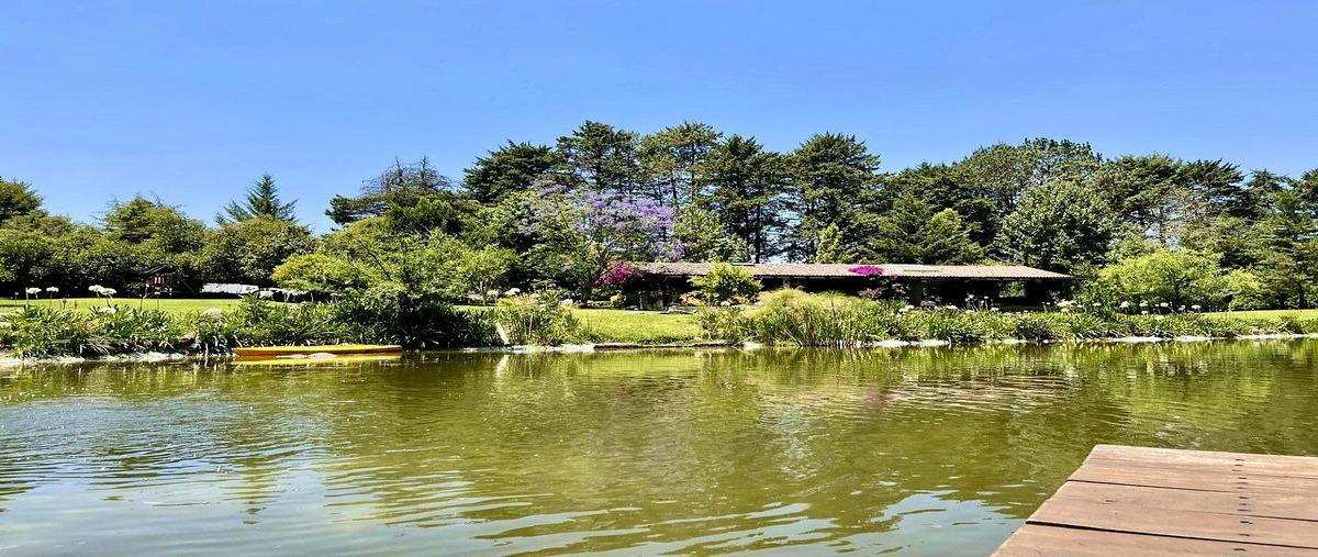 Foto de rancho en venta en  , cerro colorado, valle de bravo, méxico, 0 No. 05