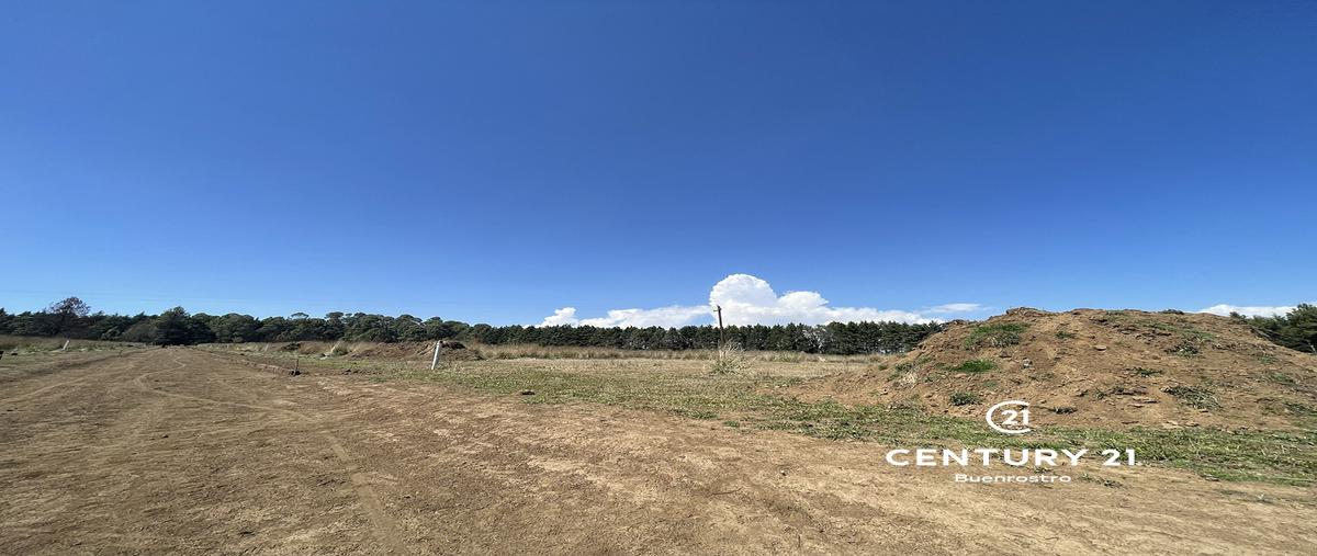 Foto de terreno habitacional en venta en  , cerro colorado, valle de bravo, méxico, 0 No. 03