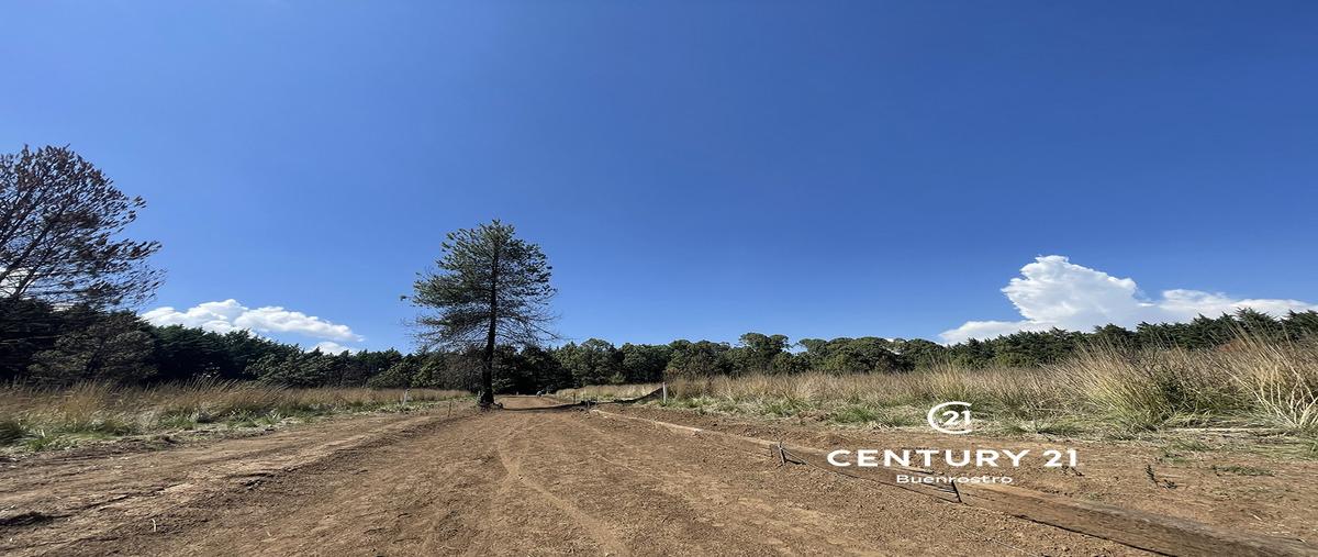 Foto de terreno habitacional en venta en  , cerro colorado, valle de bravo, méxico, 0 No. 05