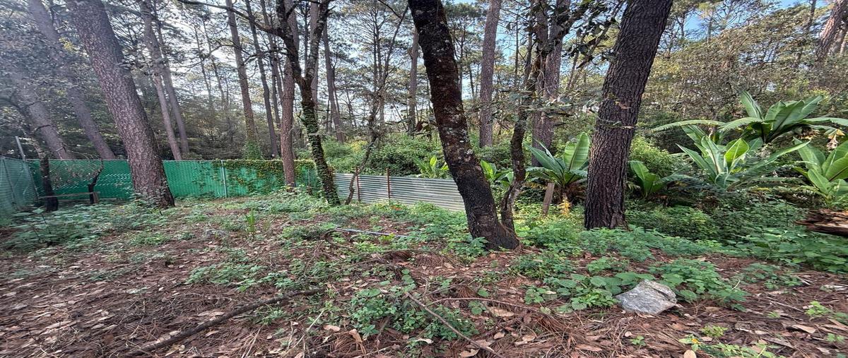 Foto de terreno habitacional en venta en  , cerro colorado, valle de bravo, méxico, 0 No. 03