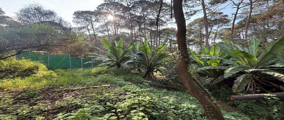 Foto de terreno habitacional en venta en  , cerro colorado, valle de bravo, méxico, 0 No. 04