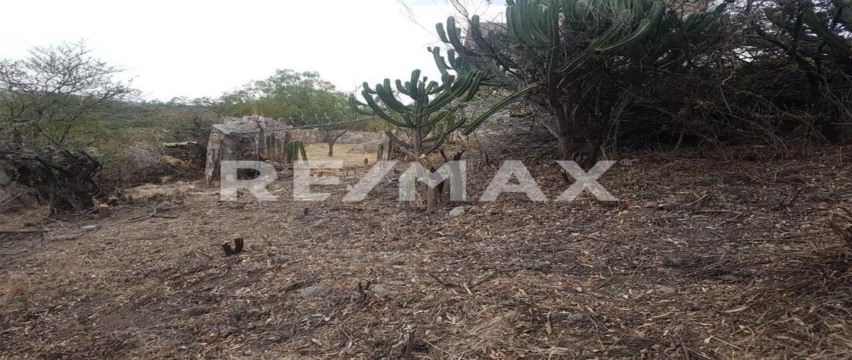 Foto de terreno habitacional en venta en cerro de erizo mineral de valenciana , cerro del erizo, guanajuato, guanajuato, 0 No. 04