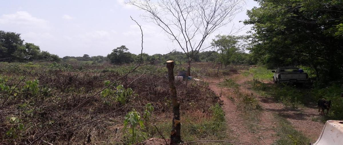 Foto de casa en venta en  , cerro de guzmán, paso de ovejas, veracruz de ignacio de la llave, 21754450 No. 04