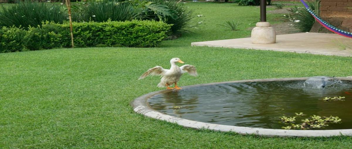 Foto de casa en cerro de la asencion , san juan, malinalco, méxico, 0 foto 04 Foto de casa en venta en cerro de la asencion , san juan, malinalco, méxico, 0 No. 04