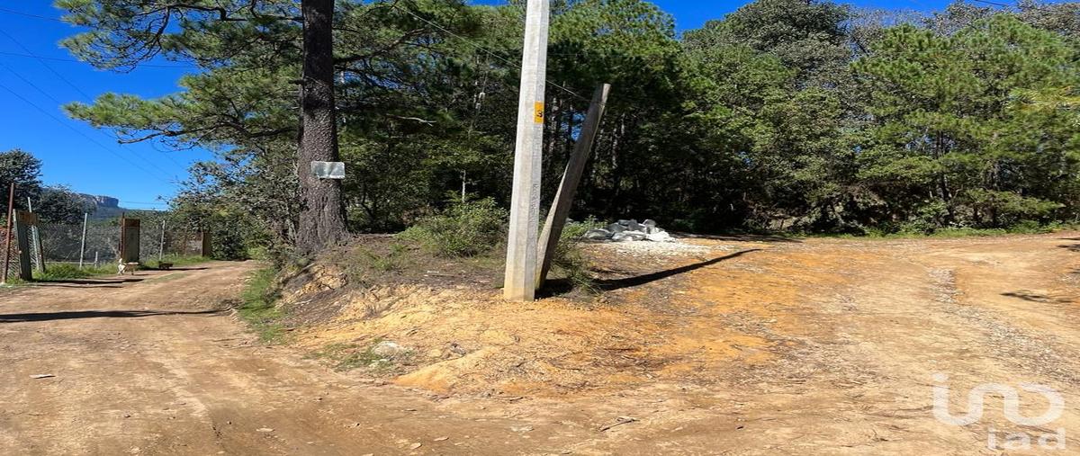 Foto de terreno habitacional en venta en cerro de la gran campaÃ±a , la gran campaÃ±a, mineral del chico, hidalgo, 31571844 No. 04