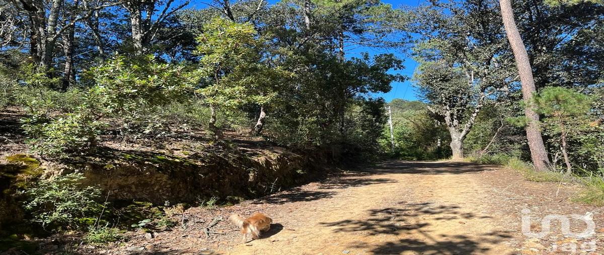 Foto de terreno habitacional en venta en cerro de la gran campaÃ±a , la gran campaÃ±a, mineral del chico, hidalgo, 31571844 No. 05