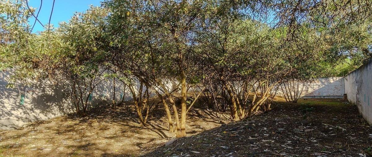 Foto de terreno habitacional en cerro de mayka , lomas de chapultepec i sección, miguel hidalgo, df / cdmx, 0 foto 08 Foto de terreno habitacional en venta en cerro de mayka , lomas de chapultepec i sección, miguel hidalgo, df / cdmx, 0 No. 08