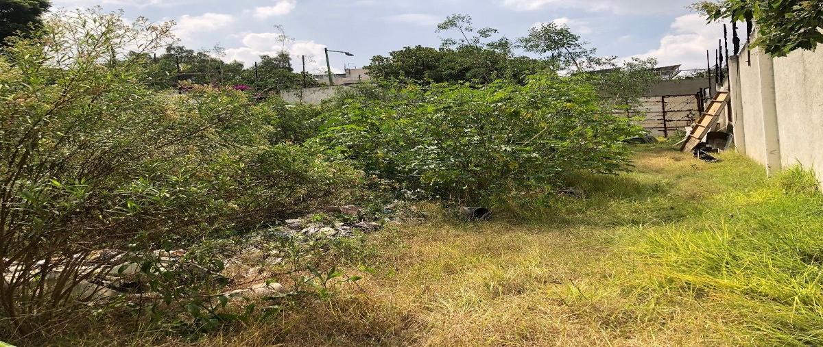 Foto de terreno habitacional en venta en cerro de mayka , lomas de chapultepec v sección, miguel hidalgo, df / cdmx, 27606916 No. 03