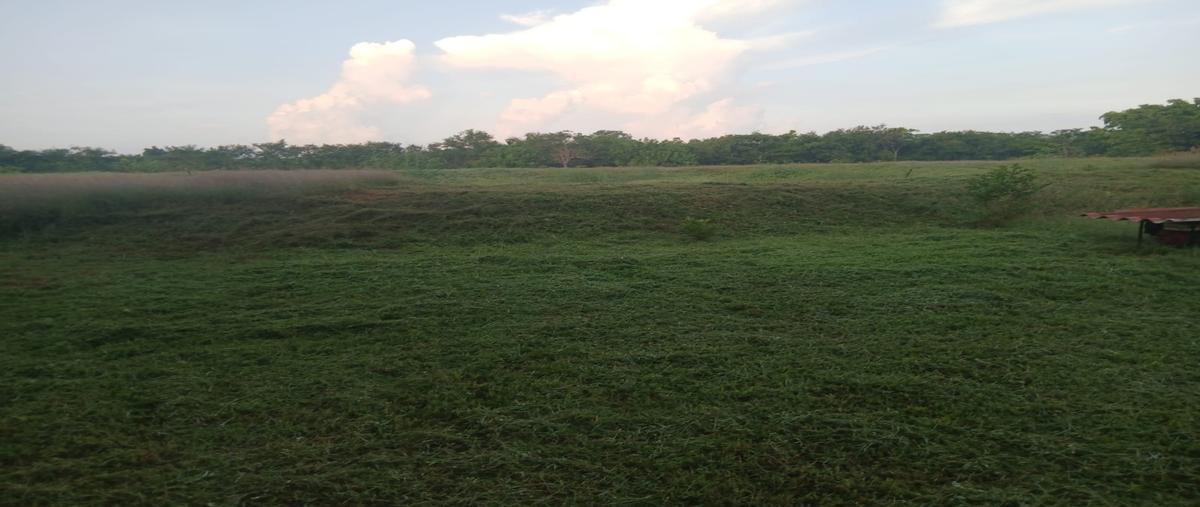 Foto de terreno habitacional en venta en  , cerro de ortega, tecomán, colima, 30843143 No. 03