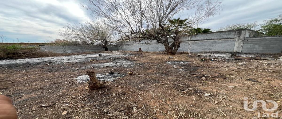 Foto de terreno habitacional en renta en cerro de padilla 385, almaguer, reynosa, tamaulipas, 30934831 No. 03