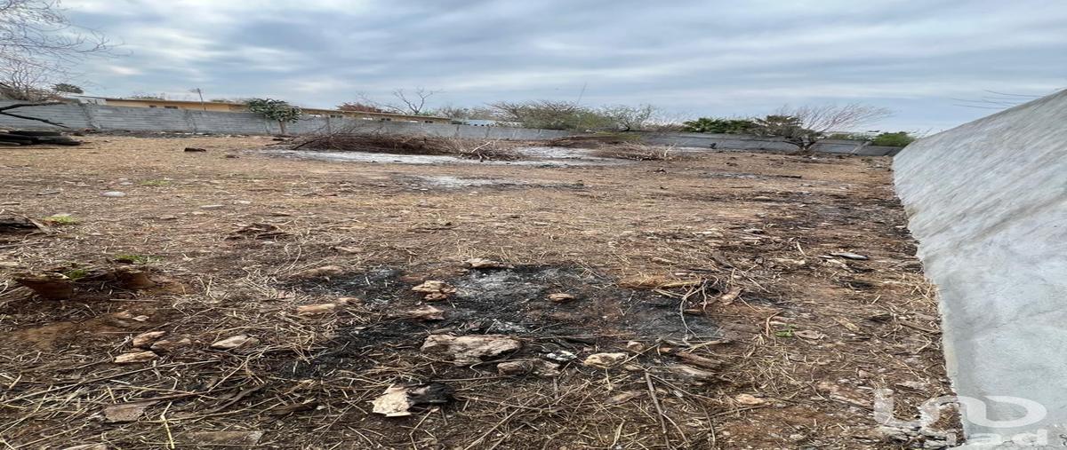 Foto de terreno habitacional en renta en cerro de padilla 385, almaguer, reynosa, tamaulipas, 30934831 No. 05