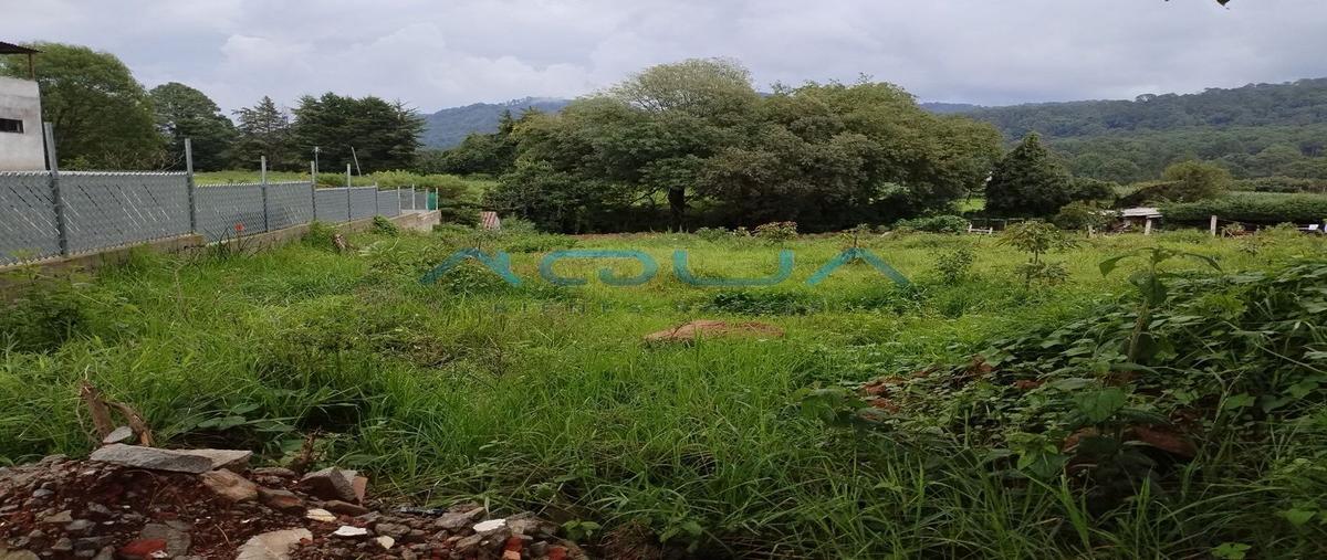 Foto de terreno habitacional en cerro gordo , cerro gordo, valle de bravo, méxico, 26828353 foto 03 Foto de terreno habitacional en venta en cerro gordo , cerro gordo, valle de bravo, méxico, 26828353 No. 03