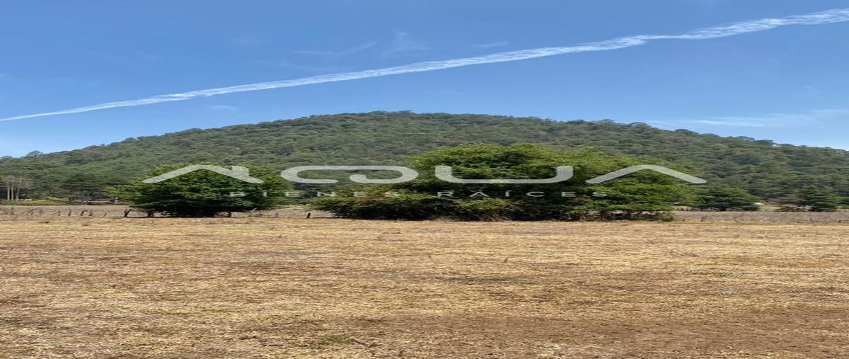 Foto de terreno habitacional en venta en cerro gordo , cerro gordo, valle de bravo, méxico, 0 No. 03