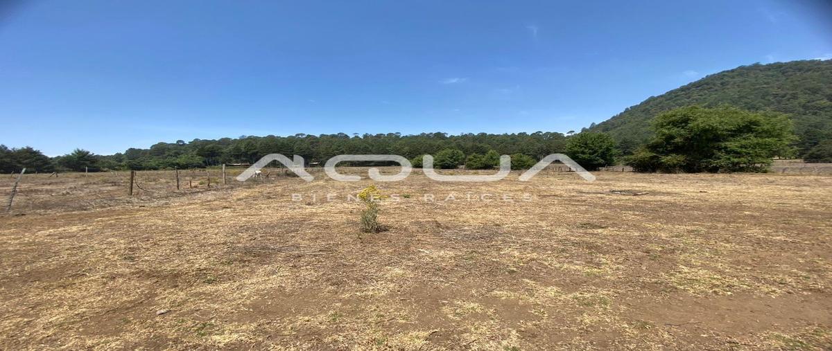 Foto de terreno habitacional en venta en cerro gordo , cerro gordo, valle de bravo, méxico, 0 No. 04