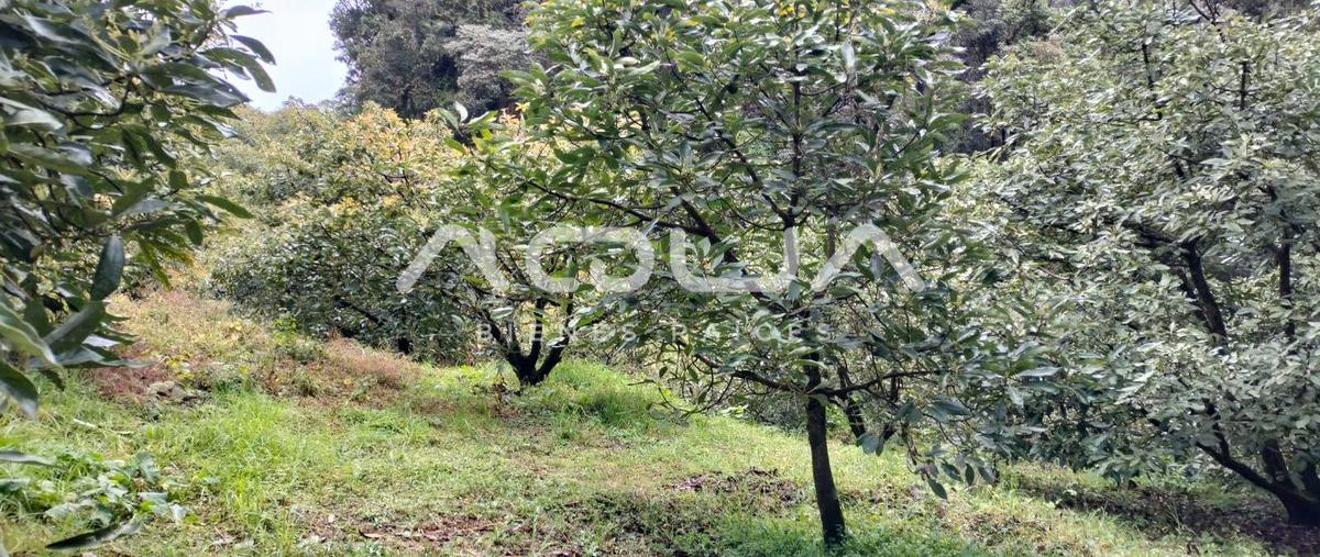 Foto de terreno habitacional en venta en cerro gordo , cerro gordo, valle de bravo, méxico, 0 No. 03