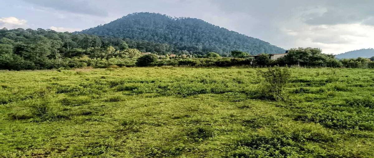 Foto de terreno habitacional en cerro gordo , cerro gordo, valle de bravo, méxico, 0 foto 01 Foto de terreno habitacional en venta en cerro gordo , cerro gordo, valle de bravo, méxico, 0 No. 01