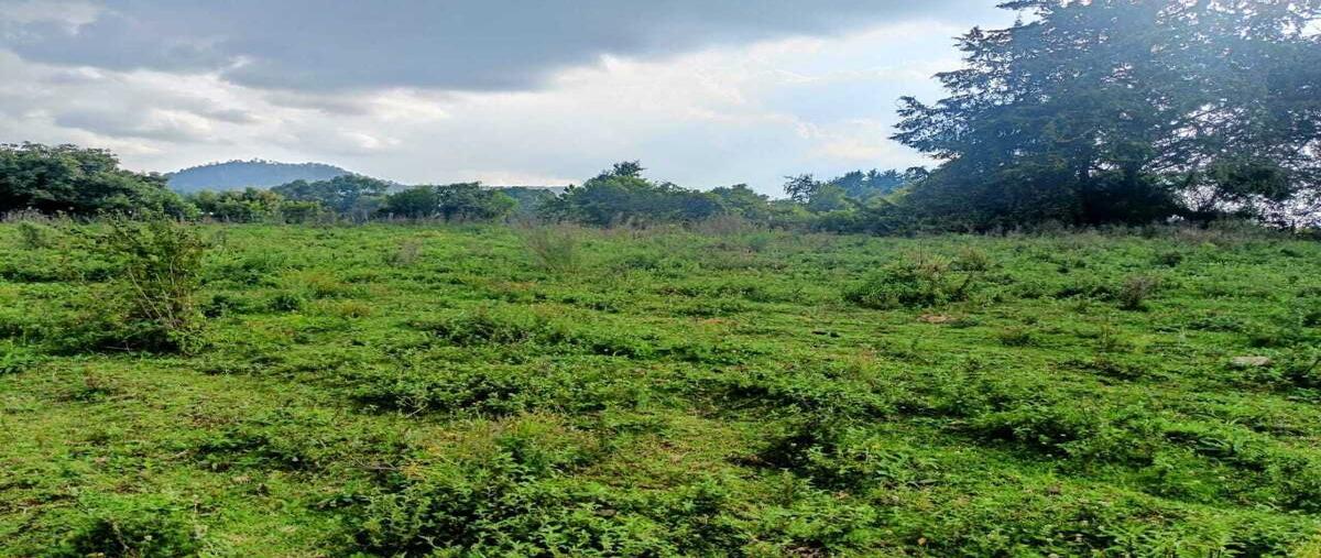 Foto de terreno habitacional en cerro gordo , cerro gordo, valle de bravo, méxico, 0 foto 04 Foto de terreno habitacional en venta en cerro gordo , cerro gordo, valle de bravo, méxico, 0 No. 04