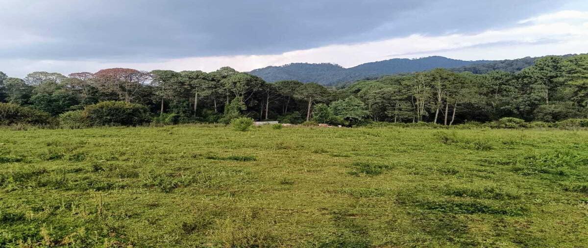 Foto de terreno habitacional en cerro gordo , cerro gordo, valle de bravo, méxico, 0 foto 05 Foto de terreno habitacional en venta en cerro gordo , cerro gordo, valle de bravo, méxico, 0 No. 05