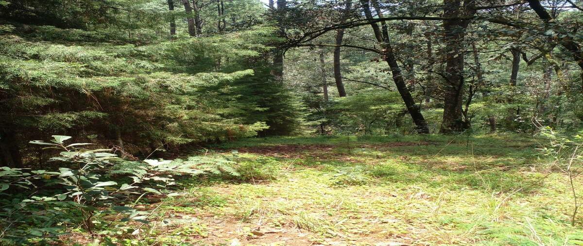 Foto de terreno habitacional en venta en cerro gordo , cerro gordo, valle de bravo, méxico, 0 No. 05
