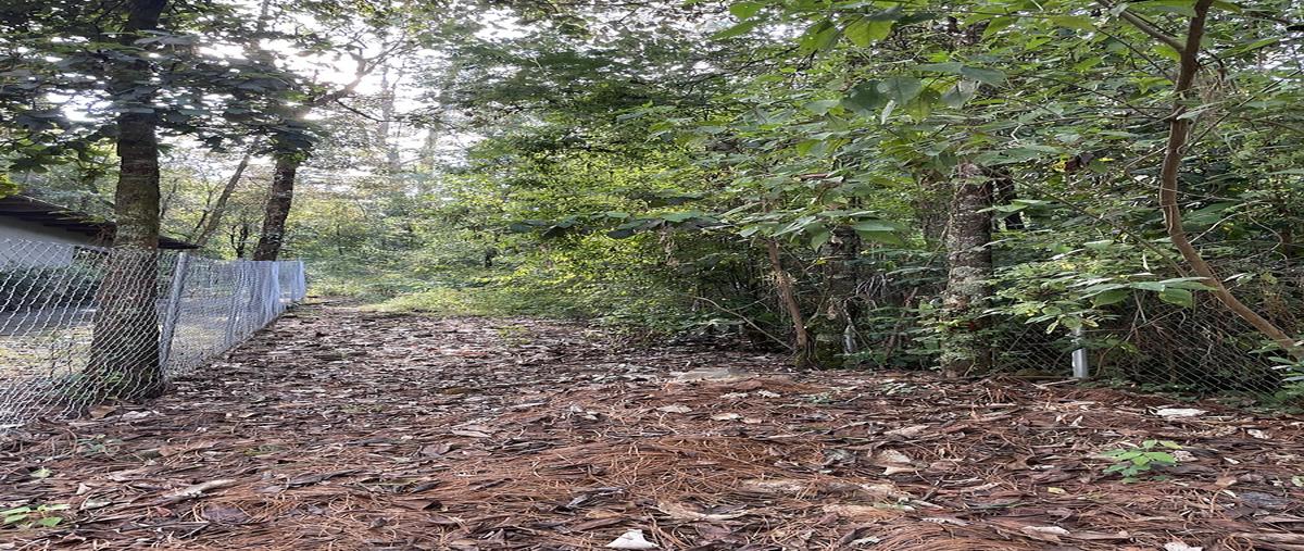 Foto de terreno habitacional en cerro gordo , cerro gordo, valle de bravo, méxico, 30669364 foto 02 Foto de terreno habitacional en venta en cerro gordo , cerro gordo, valle de bravo, méxico, 30669364 No. 02