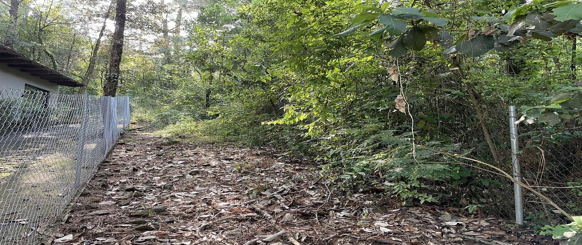 Foto de terreno habitacional en cerro gordo , cerro gordo, valle de bravo, méxico, 30669364 foto 03 Foto de terreno habitacional en venta en cerro gordo , cerro gordo, valle de bravo, méxico, 30669364 No. 03