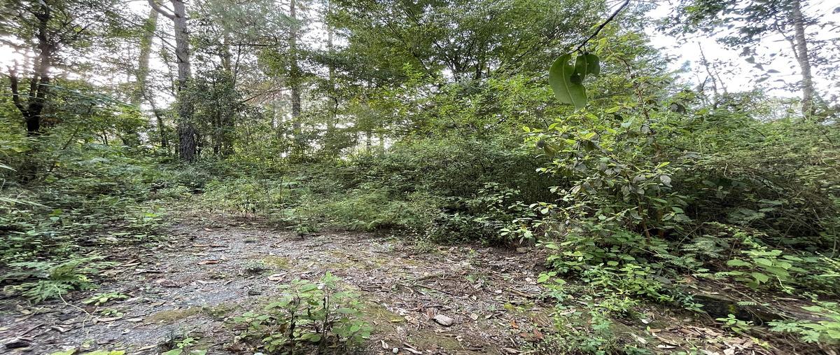 Foto de terreno habitacional en cerro gordo , cerro gordo, valle de bravo, méxico, 30669364 foto 05 Foto de terreno habitacional en venta en cerro gordo , cerro gordo, valle de bravo, méxico, 30669364 No. 05