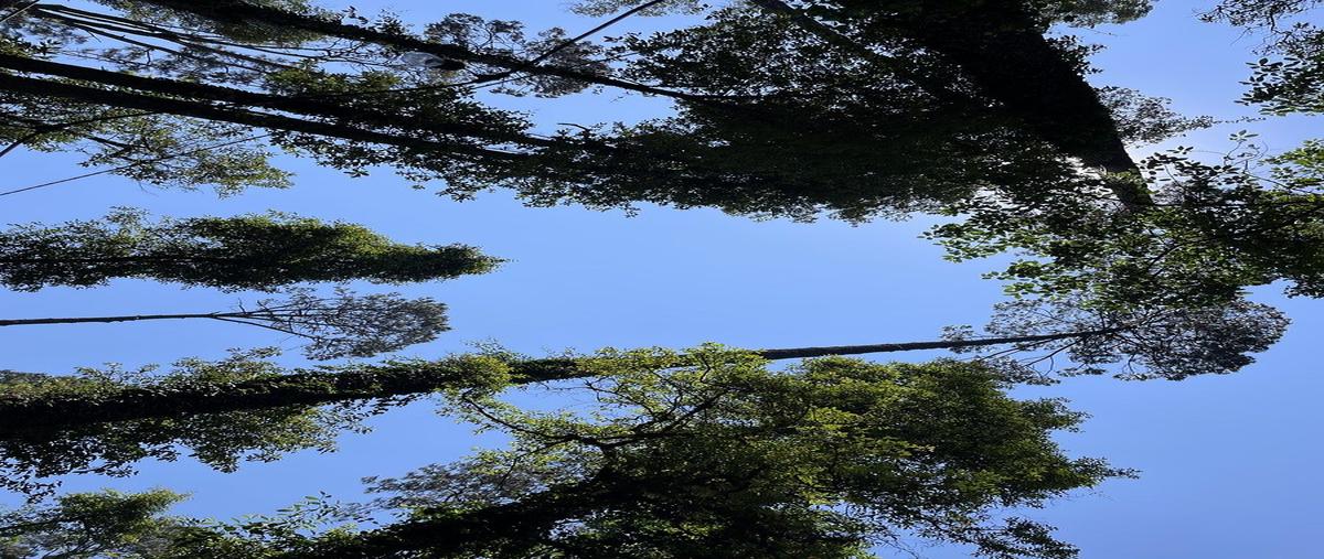 Foto de casa en cerro gordo , cerro gordo, valle de bravo, méxico, 0 foto 03 Foto de casa en venta en cerro gordo , cerro gordo, valle de bravo, méxico, 0 No. 03