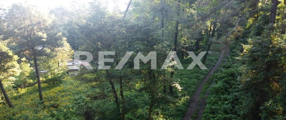 Foto de terreno habitacional en cerro gordo , cerro gordo, valle de bravo, méxico, 0 foto 04 Foto de terreno habitacional en venta en cerro gordo , cerro gordo, valle de bravo, méxico, 0 No. 04