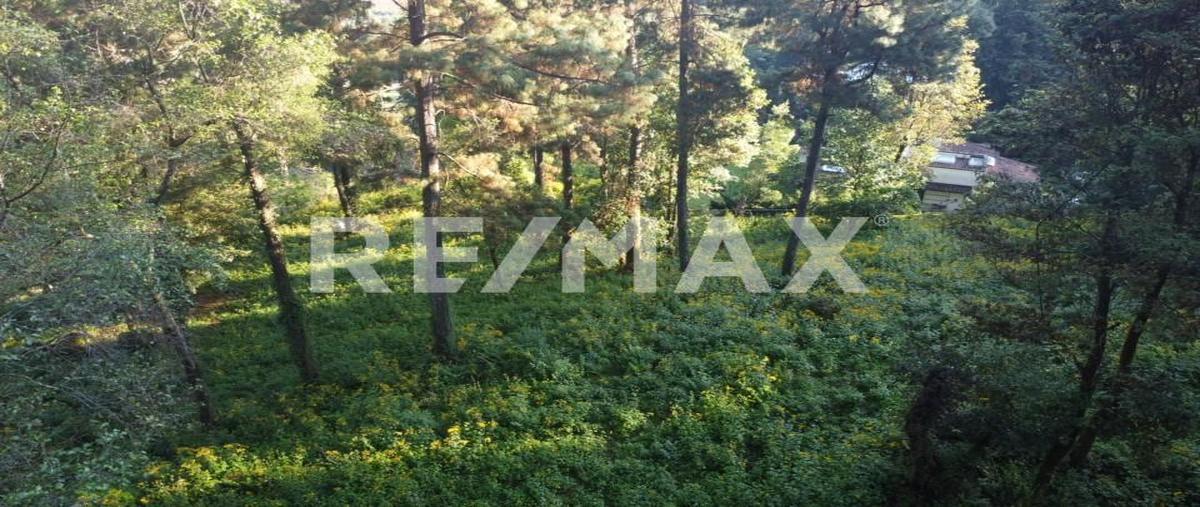 Foto de terreno habitacional en cerro gordo , cerro gordo, valle de bravo, méxico, 0 foto 05 Foto de terreno habitacional en venta en cerro gordo , cerro gordo, valle de bravo, méxico, 0 No. 05