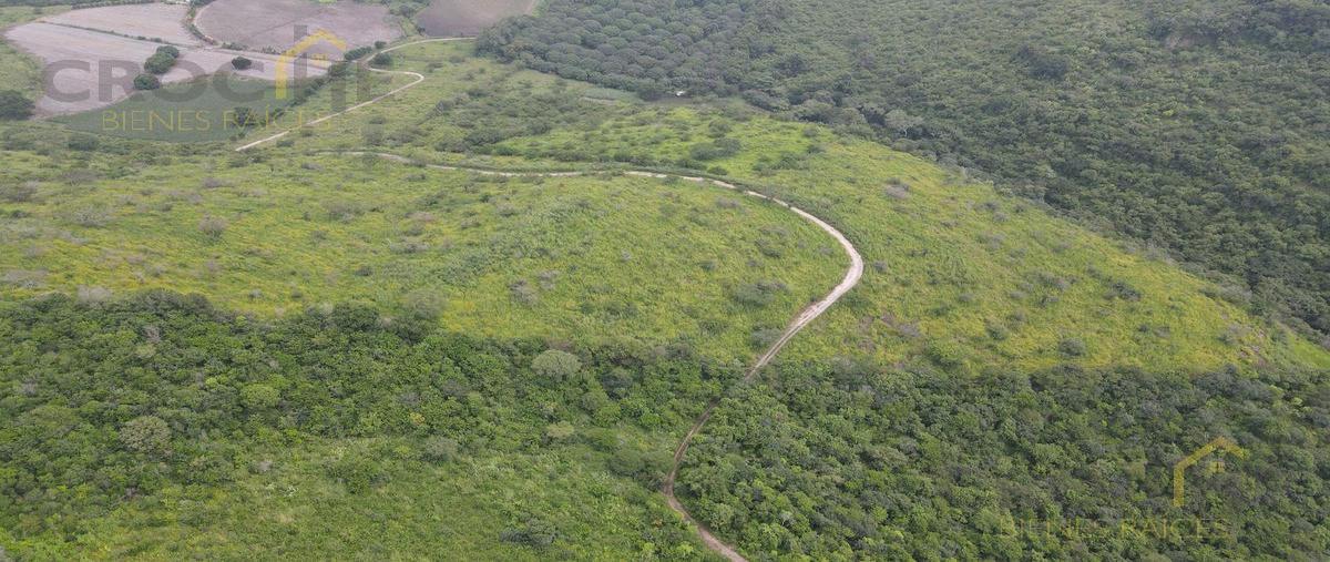 Foto de terreno habitacional en venta en  , cerro gordo, emiliano zapata, veracruz de ignacio de la llave, 0 No. 03