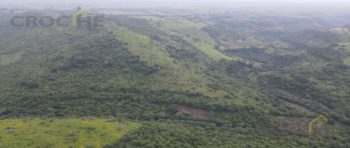 Foto de terreno habitacional en venta en  , cerro gordo, emiliano zapata, veracruz de ignacio de la llave, 0 No. 05